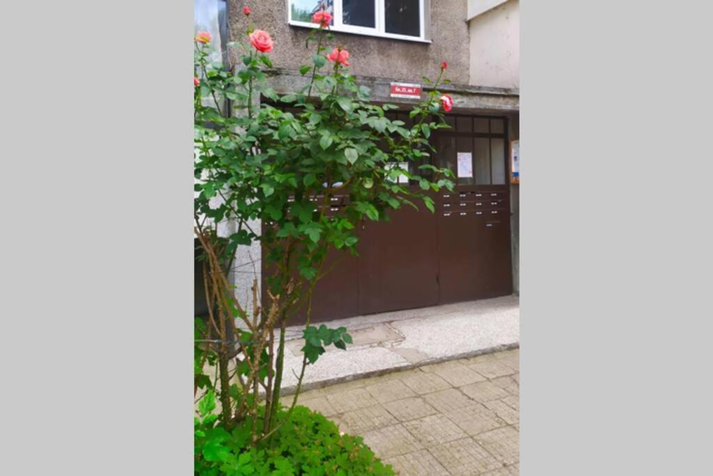 Lovely City Center 1Bd, 1Bt Apartment Sofia Exterior foto